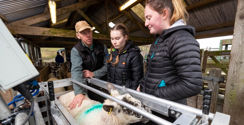 Instructor and two students at a livestock farm 