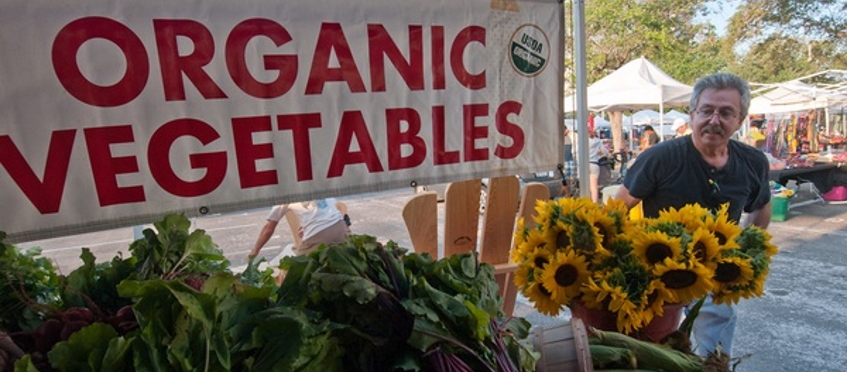 Market stall offering organic vegetables
